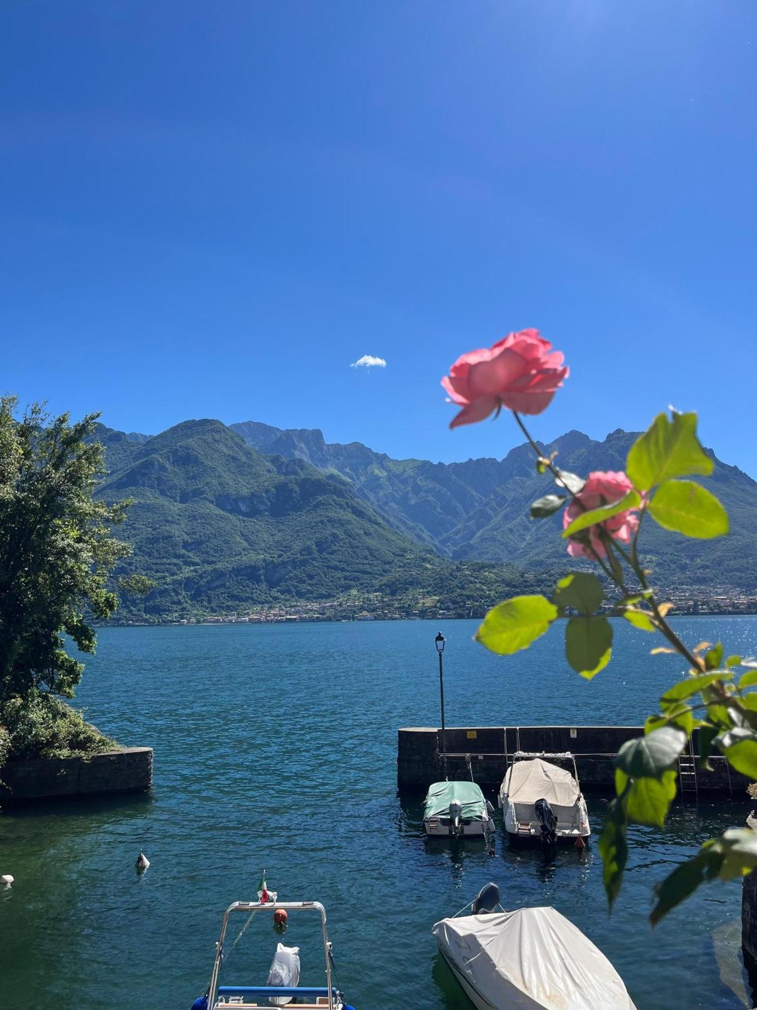 Domus Graziana - Lake Front Oliveto Lario Buitenkant foto